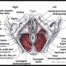 화목한의원 이미지