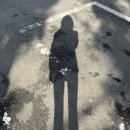 동원손세차장 이미지