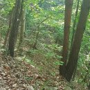 고향산천농장 네이버블로그