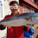 울엄마민박 이미지