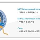 (주)영인헬스케어 이미지
