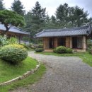 숲속작은나라 이미지