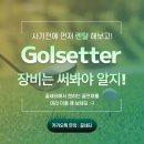 골세터 이미지