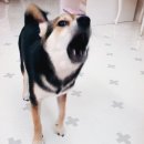 까미하우스 이미지