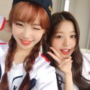 채원