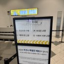 영원프라자 | 키크니 특별전 : 그렸고 그런 사이 얼리버드 예매 관람 후기