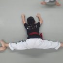 움찬태권도장 이미지