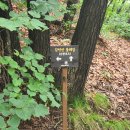 청산파크 이미지