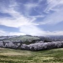 한우목장 이미지