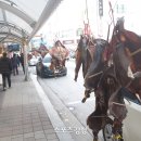 주문진 건어물시장 이미지