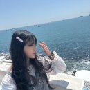 브라운도트 영도대교점 이미지