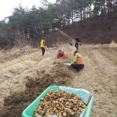 산속요양 원하시는 암환우(환우보호자)쉴만한물가 이미지