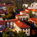 도라시마켓 이미지