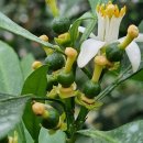 철이농장 이미지