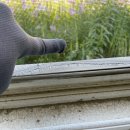 비두초등학교 이미지