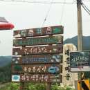 대촌관광농원 이미지