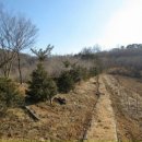 송산농장 이미지