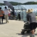 김기두농장 이미지