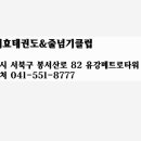 효 태권도 이미지