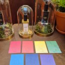 나를 찾는 여정 컬러테라피 이미지