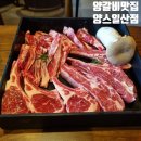 일산 양갈비 맛집 양스 스페셜 세트 추천 후기