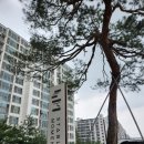 경북대학교 면학관 담장 | 대구 북구 복현동 뷰 좋은/경북대 근처 대형 베이커리 카페 : 스테이블모먼트 방문 후기