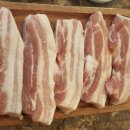 엉생생고기 이미지