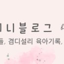 에디스여성병원 이미지