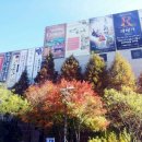 한국방송공사 창원방송총국 - 8856 | 한국방송공사 창원방송총국