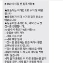 뽀송이 운동화 세탁 네이버블로그