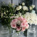 전이랑 순이랑 | 강남 더 청담 웨딩홀 노블레스홀 부케순이 하객 뷔페 후기