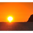 소남머리 이미지