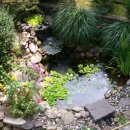 연못가든 이미지