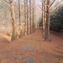 진광자동차정비 이미지