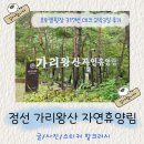 오토박스팀 스프린터 | 강원도 정선 가리왕산 자연휴양림 오토캠핑장 317번 데크 2박3일 후기