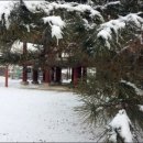 원조영양탕 이미지