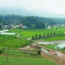 경기 용인 학일마을 국민일보