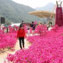 소백산향기나라 이미지