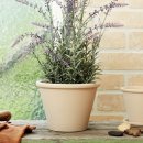 라운더리 이미지