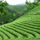 강과산이 아름다운 한옥펜션 이미지