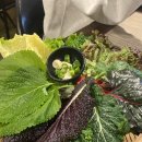목센아뉴타운공인중개사사무소 | 오목교 맛집 고래아방(ft. 목센아 맛집, 현대41타워, 검단 넥스트콤플렉스)