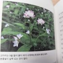 톨쉽북스토어 이미지