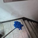 크린프랜드 이미지