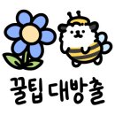 제주도 정품전자담배 노형 직영점 이미지