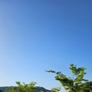 대장경 오토 캠핑장 이미지