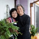 한울다솜 이미지