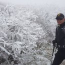 노고단-5 이미지