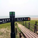 더(The)라온 이미지