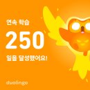 도야 짬뽕 남원점 | 일상132