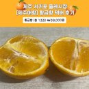 애향길 | 제주 서귀포 올레시장 제주애향 황금향 택배 후기